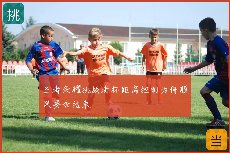 王者荣耀挑战者杯距离控制为何顺风要会结束