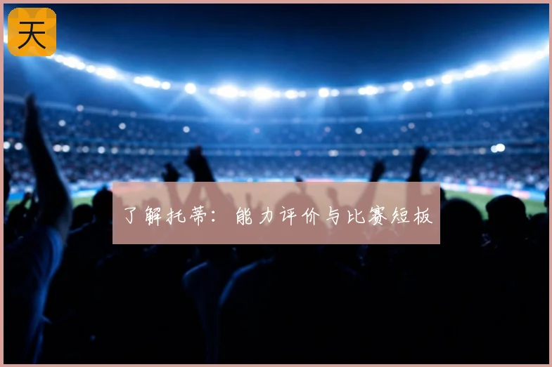 了解托蒂：能力评价与比赛短板